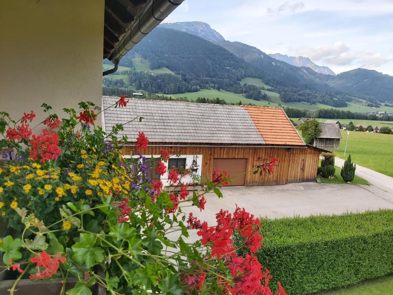 Appartment Luki Haus im Ennstal Bagian luar foto